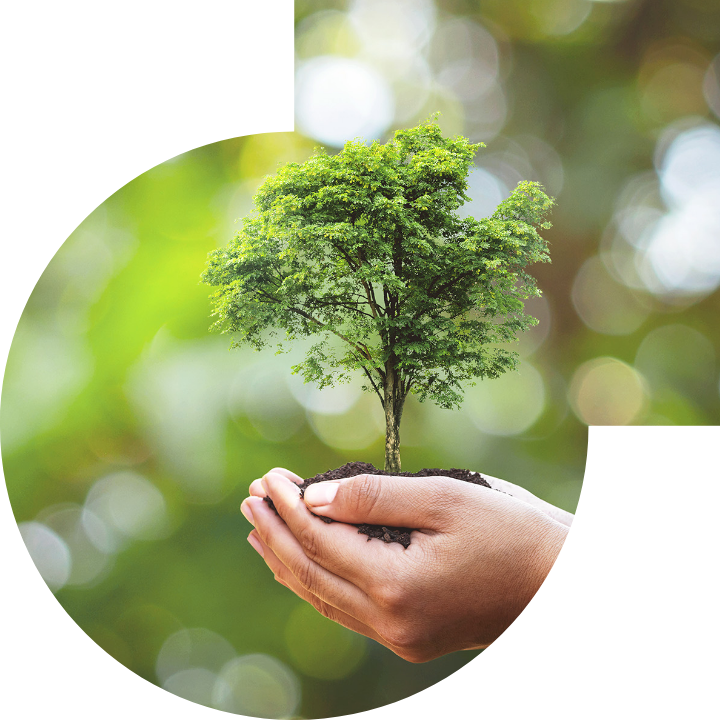 关怀人类、文化、环境与社会